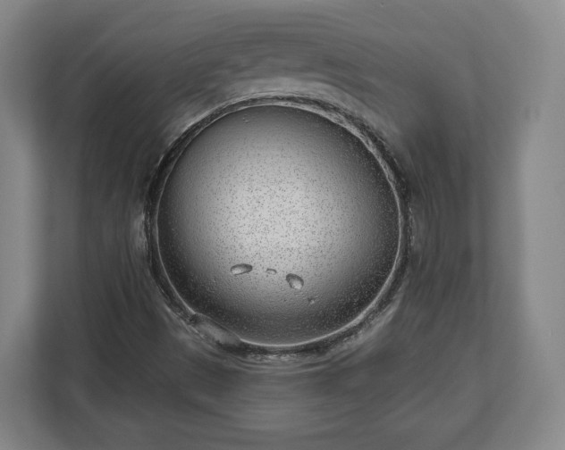 X0000112741497200908271511