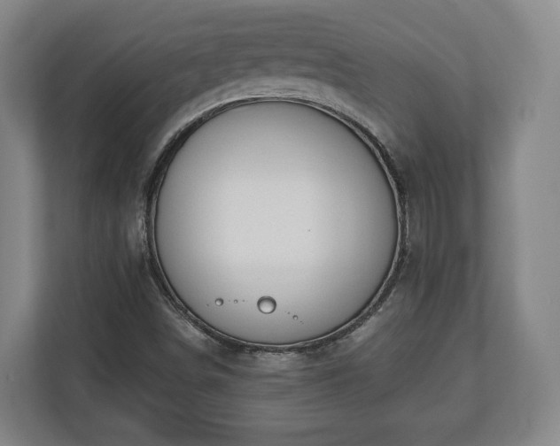 X0000112741498200908271511