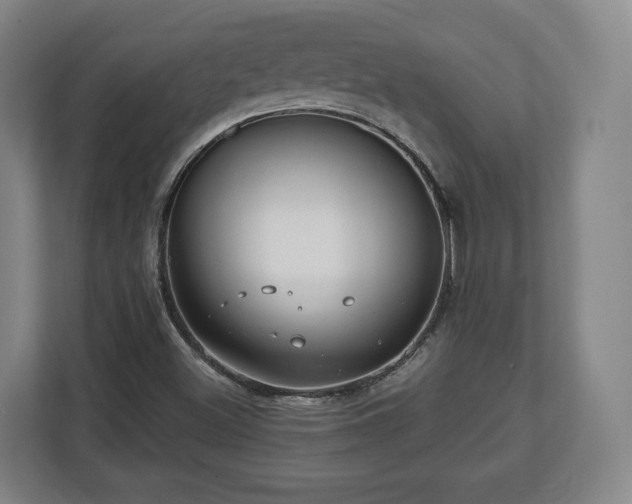 X0000112741500200908271511