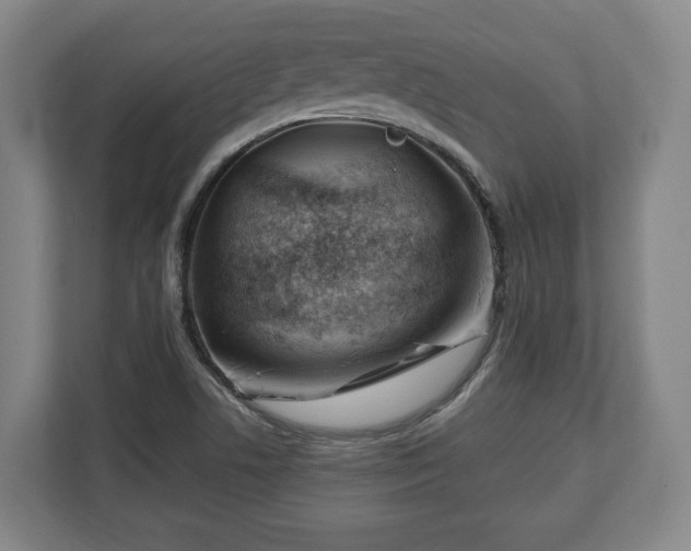 X0000112741506200908271511