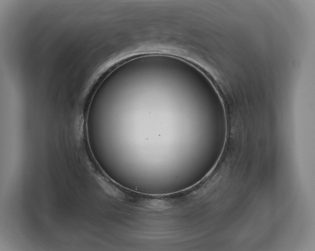 X0000112741507200908271511