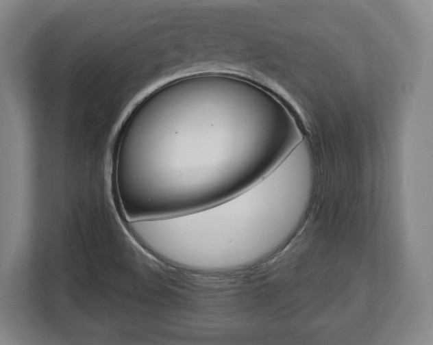 X0000112741508200908271511