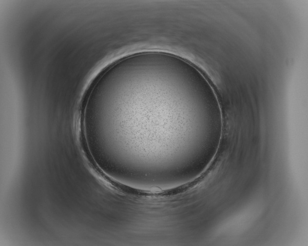 X0000112741511200908271511