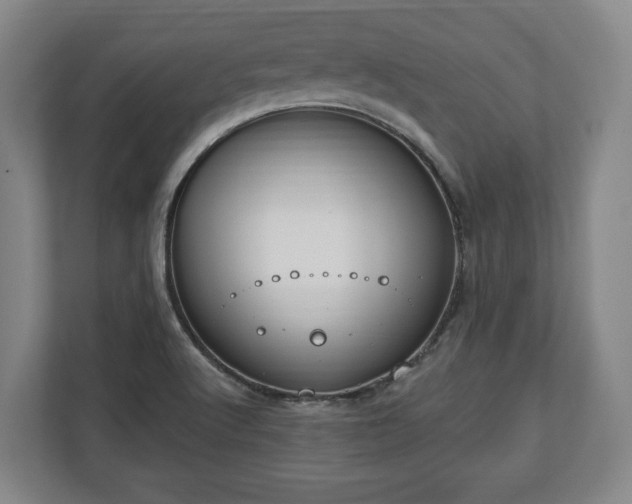 X0000112741512200908271511