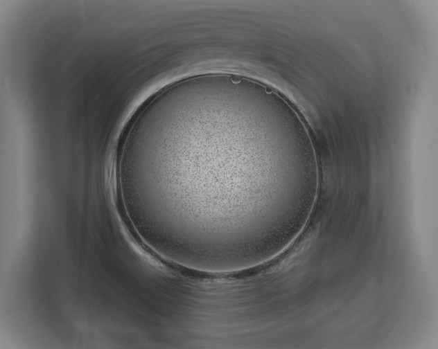 X0000112741515200908271511