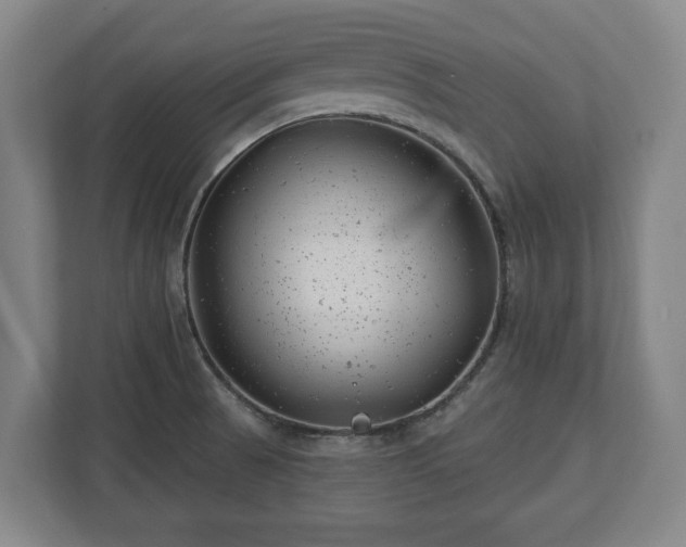 X0000112741521200908271511