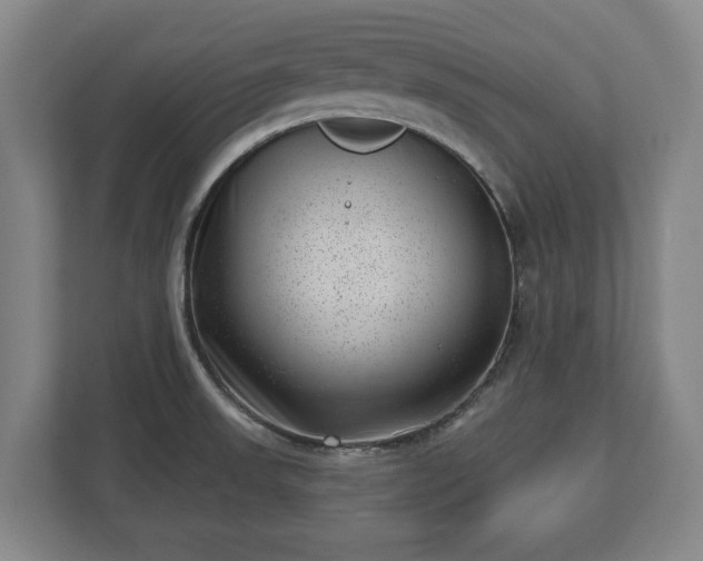 X0000112741523200908271511