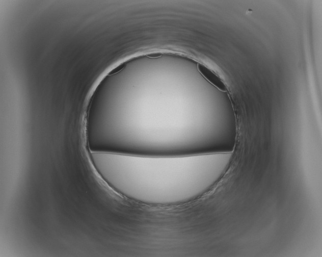 X0000112741524200908271511