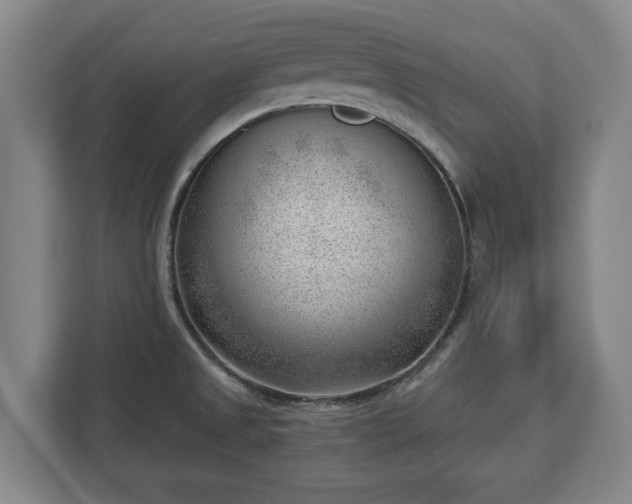 X0000112741525200908271511