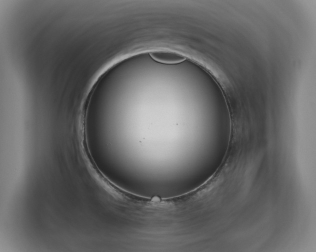 X0000112741526200908271511
