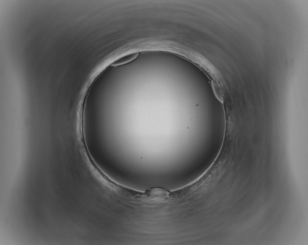 X0000112741528200908271511