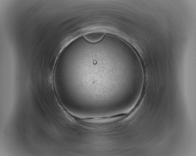 X0000112741529200908271511