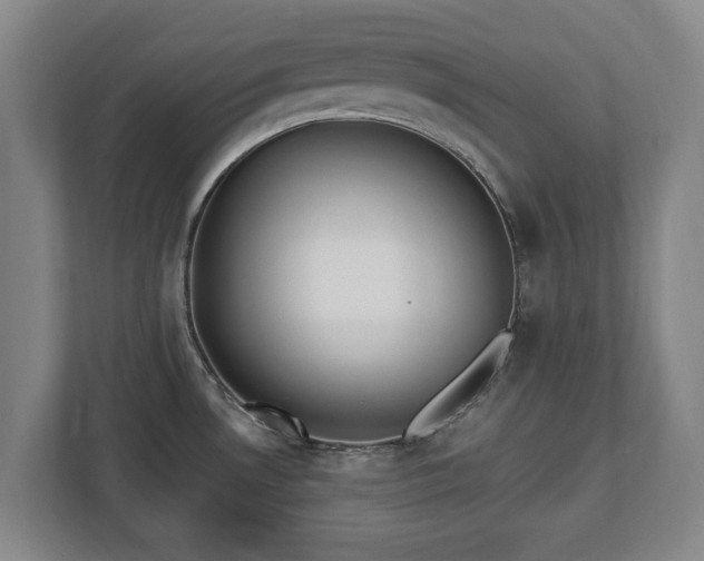 X0000112741530200908271511