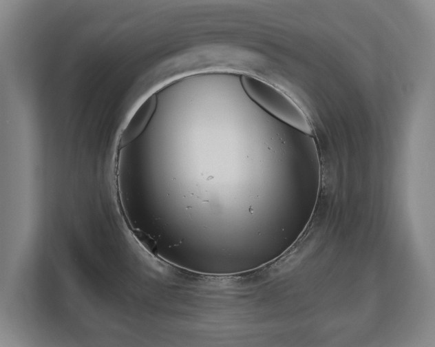 X0000112741532200908271511