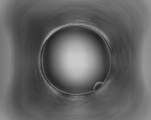 X0000112741533200908271511