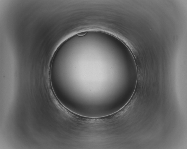 X0000112741534200908271511