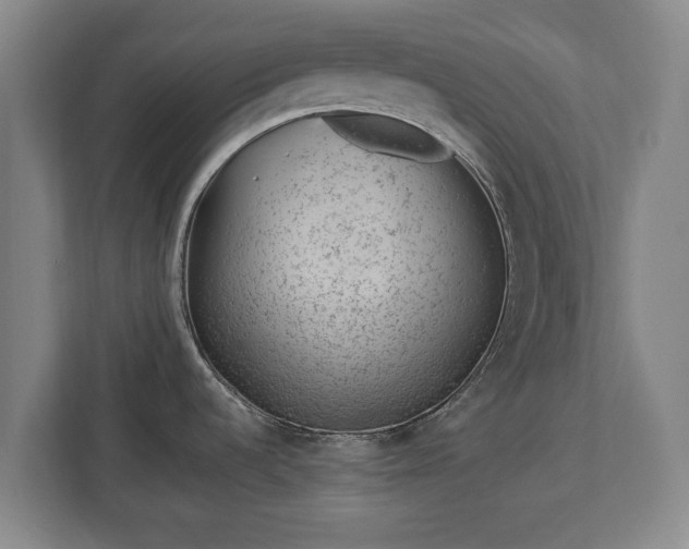 X0000112741536200908271511