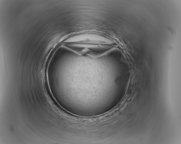 X0000112740002200909031515