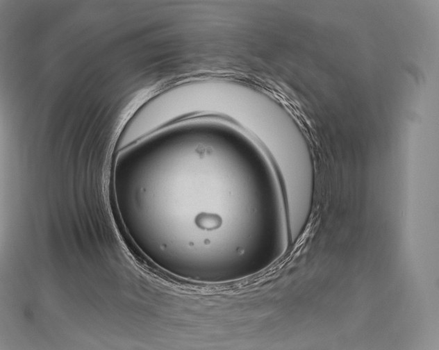 X0000112740003200909031515