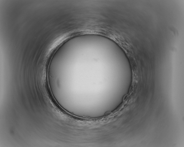 X0000112740005200909031515