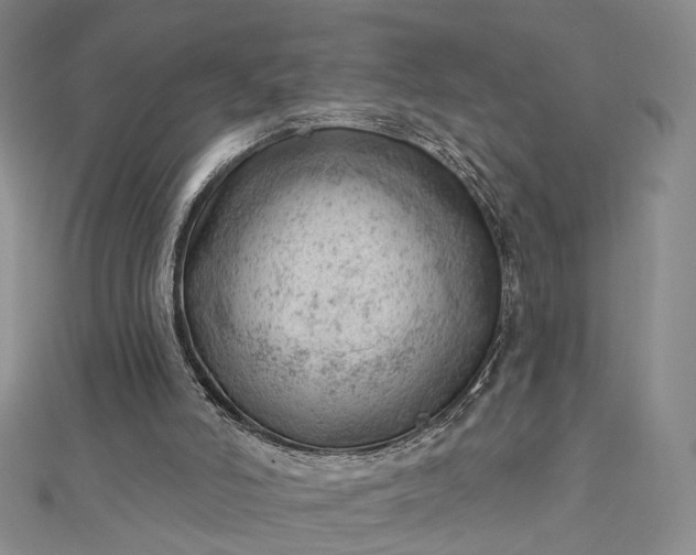 X0000112740006200909031515