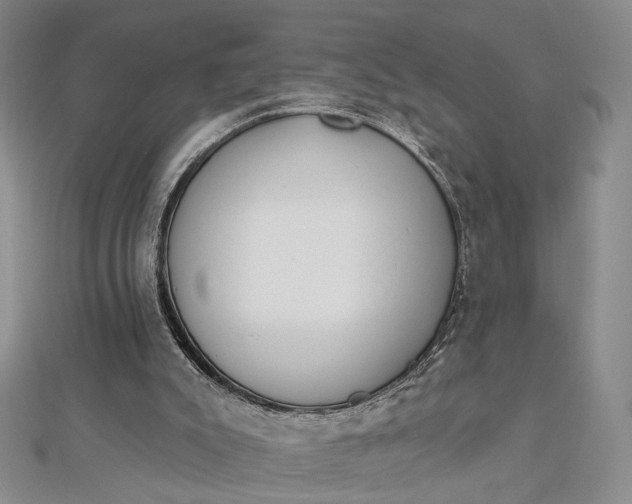 X0000112740007200909031515