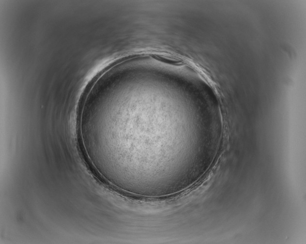 X0000112740008200909031515