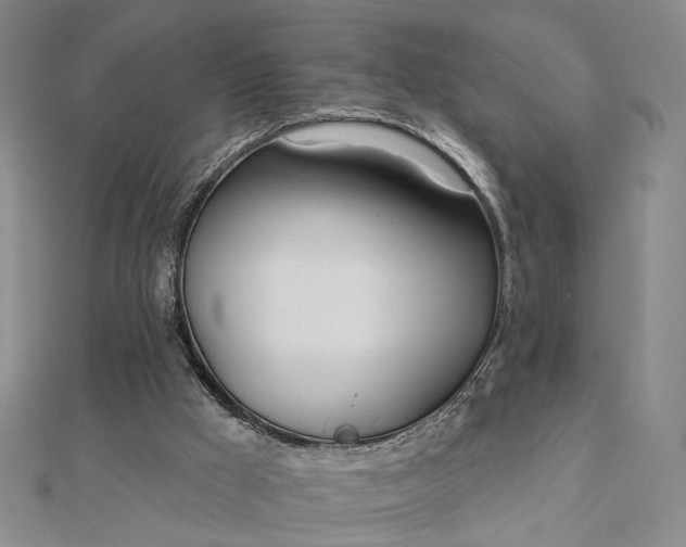 X0000112740009200909031515