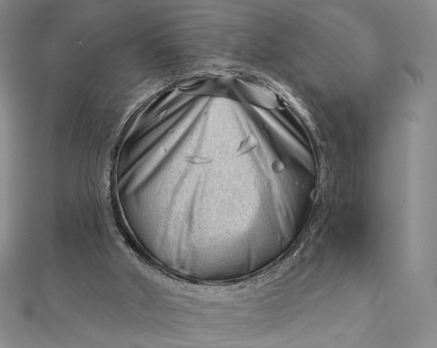 X0000112740010200909031515