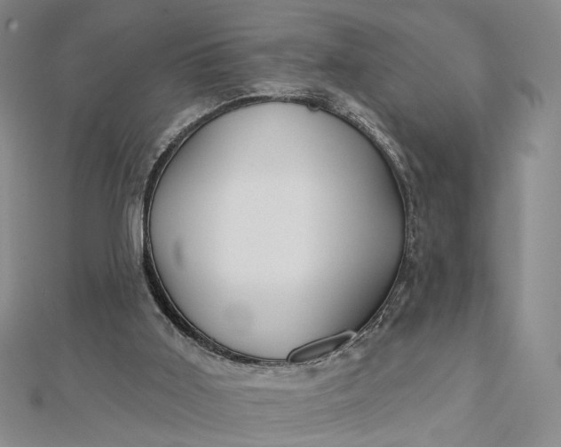 X0000112740011200909031515