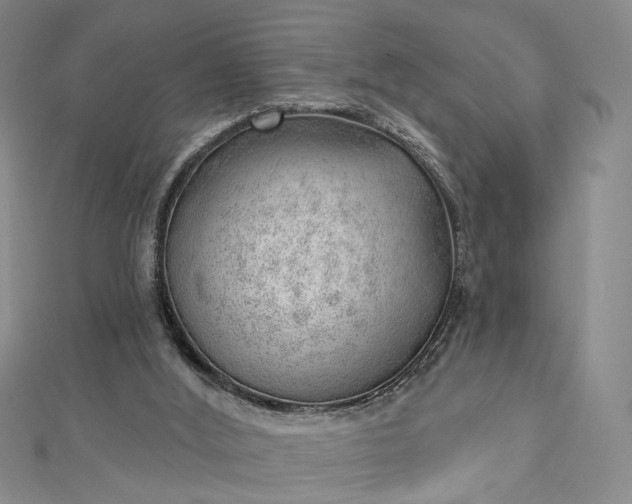 X0000112740012200909031515