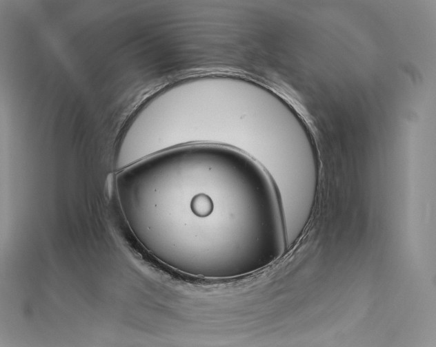 X0000112740013200909031515