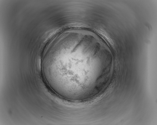 X0000112740014200909031515