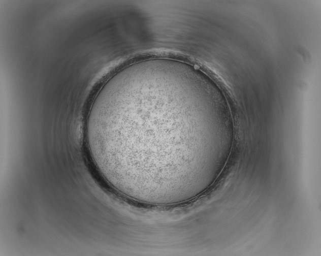 X0000112740016200909031515