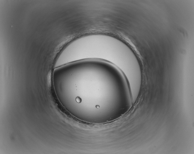 X0000112740019200909031515