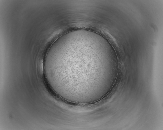 X0000112740020200909031515