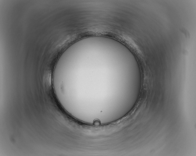 X0000112740021200909031515