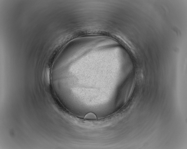 X0000112740022200909031515