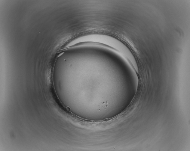 X0000112740023200909031515