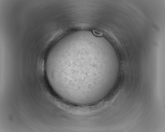 X0000112740024200909031515