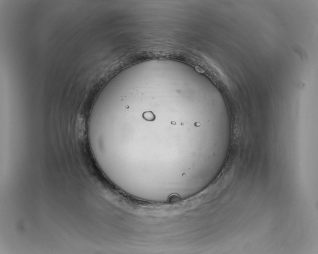 X0000112740025200909031515