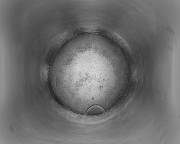 X0000112740026200909031515