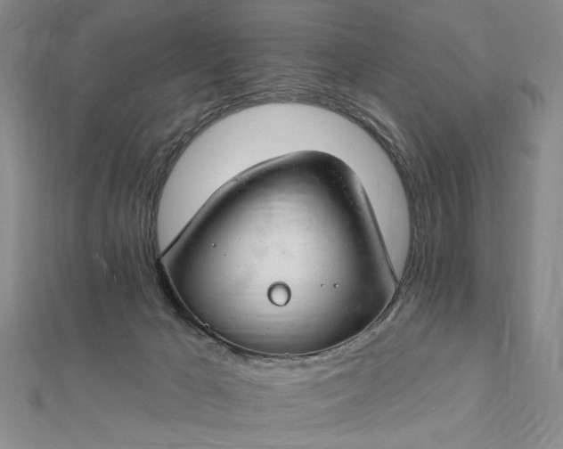 X0000112740029200909031515