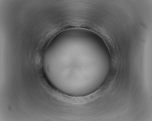 X0000112740031200909031515