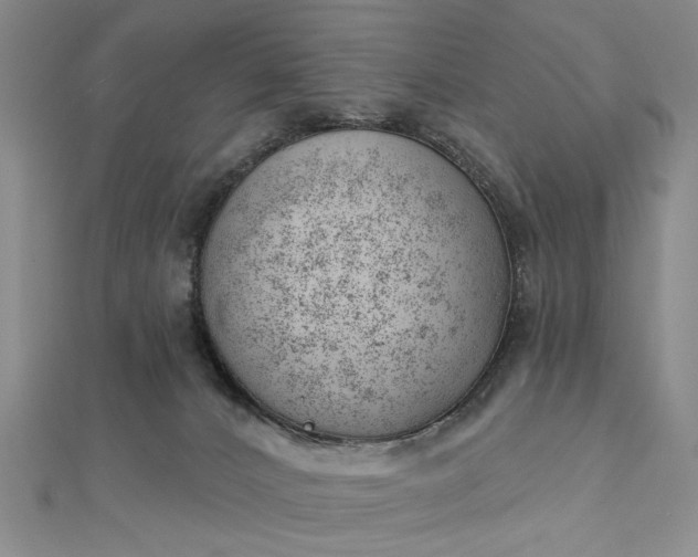 X0000112740032200909031515