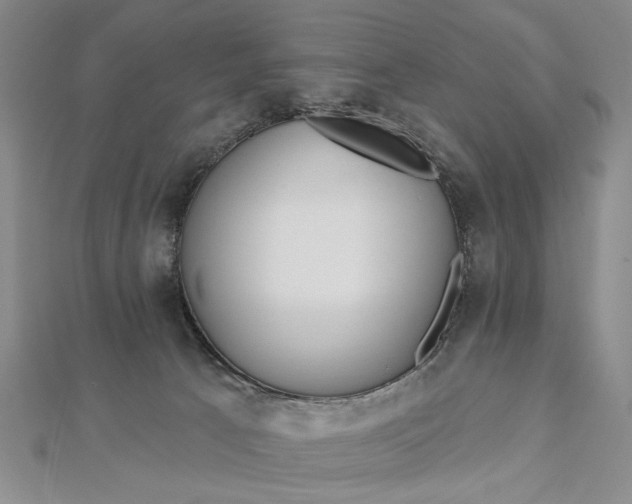 X0000112740033200909031515