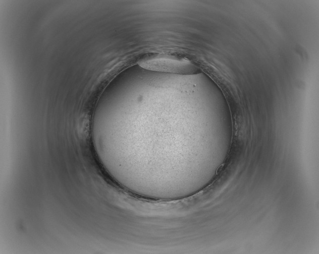 X0000112740036200909031515