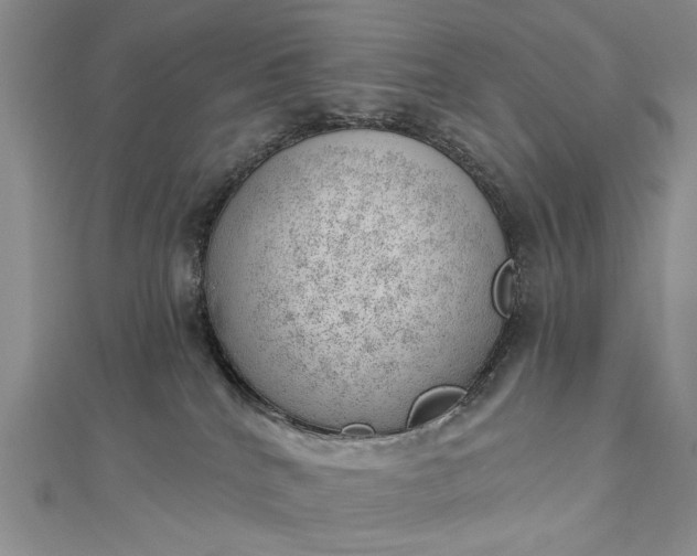 X0000112740040200909031515