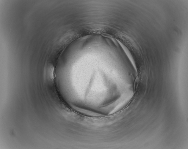 X0000112740041200909031515