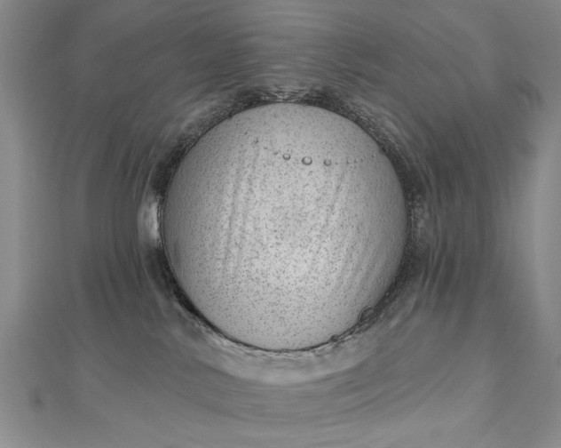 X0000112740042200909031515